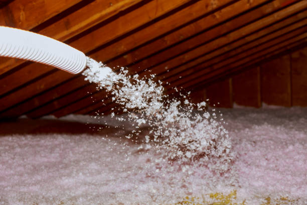 Best Local Insulation Services  in Lafayette, CO