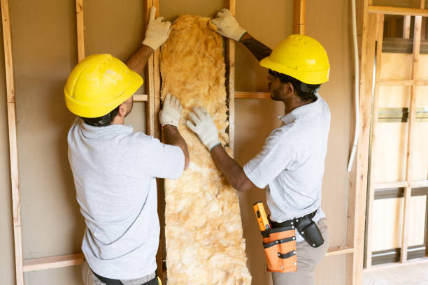 Best Wall Insulation Contractor  in Lafayette, CO
